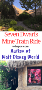 Sensory Processing Disorder at Walt Disney World - Seven Dwarfs Mine Train Ride